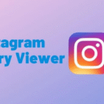 Instagram Story Viewer