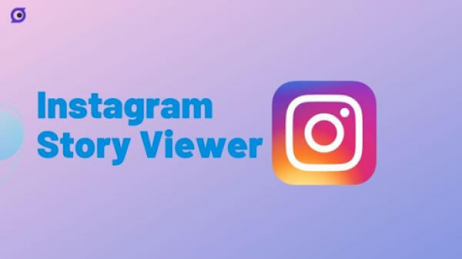 Instagram Story Viewer