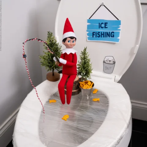 Elf on the Shelf Ideas