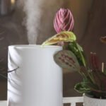 How Home Fragrance Can Change the Feel of Your Space