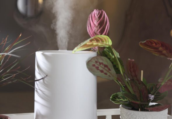 How Home Fragrance Can Change the Feel of Your Space