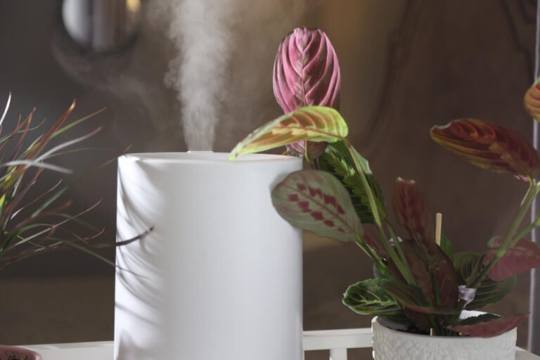How Home Fragrance Can Change the Feel of Your Space